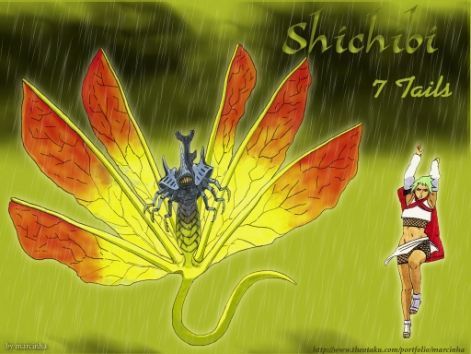 shichibi.jpg
